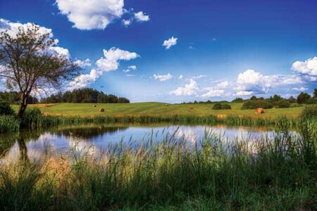 10 Dreams for Future Farm Projects Image